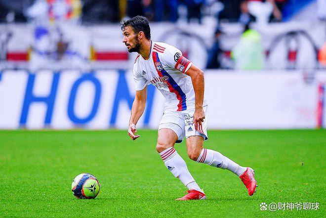 星空体育官网入口-里尔主场击败甘冈，法甲冲刺正酣的简单介绍