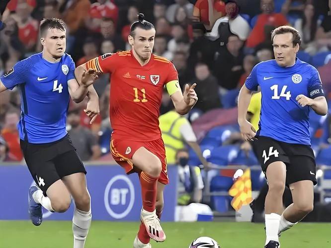 星空体育vip注册-捷克主场战胜爱沙尼亚，豪取三分